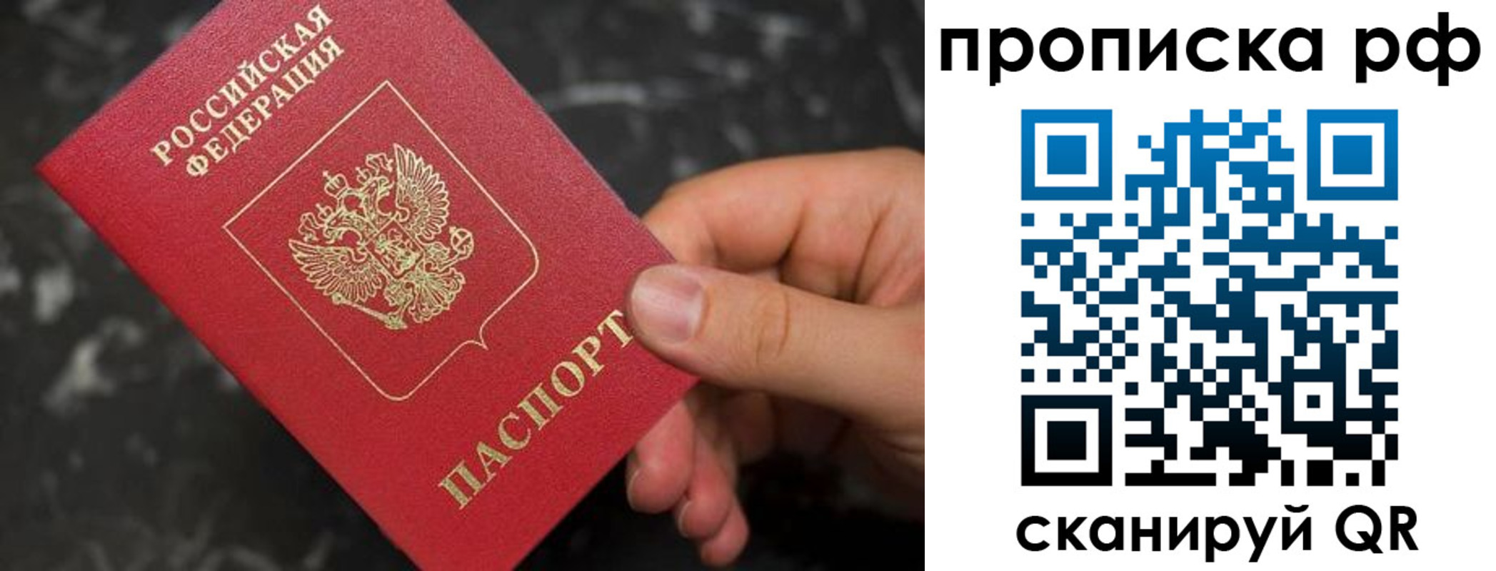прописка 2025 в Лыткарино